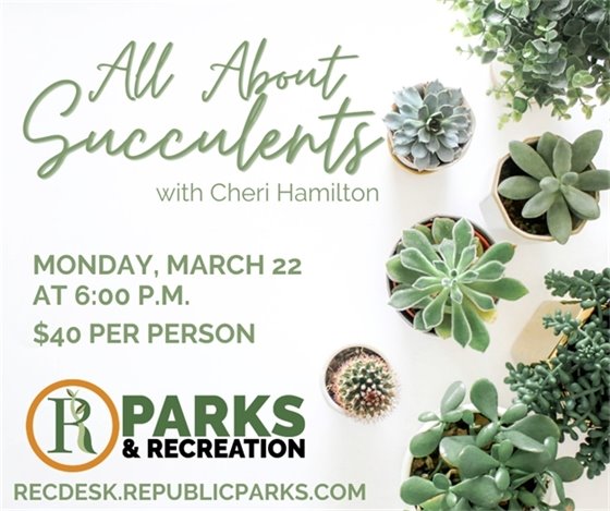 All About Succulents