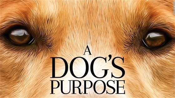 A Dog's Purpose Movie Poster