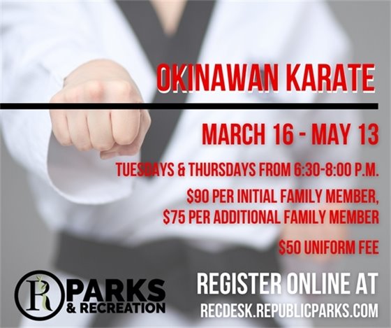 Okinawan Karate