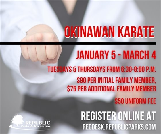 Okinawan Karate